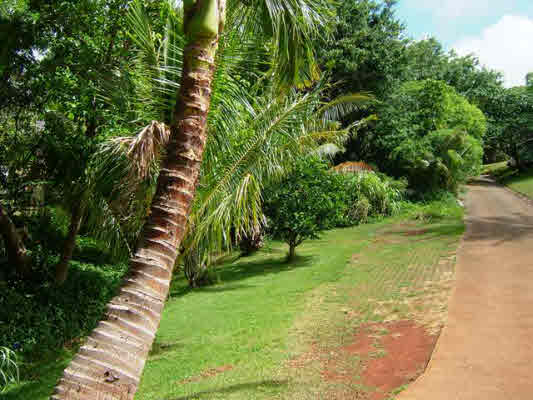 ANUENUE RD, LAWAI, HI, 96765, USA