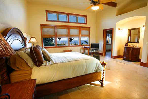 453514 Paauhau Rd,HONOKAA,HI,96727,USA