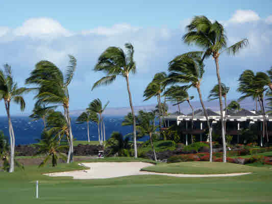 MLS 250419 | Mauna Lani Point, #D304, Mauna Lani Resort - South Kohala, Hawaii MLS 250419 | Mauna Lani Point, #D304, Mauna Lani Resort - South Kohala, Hawaii