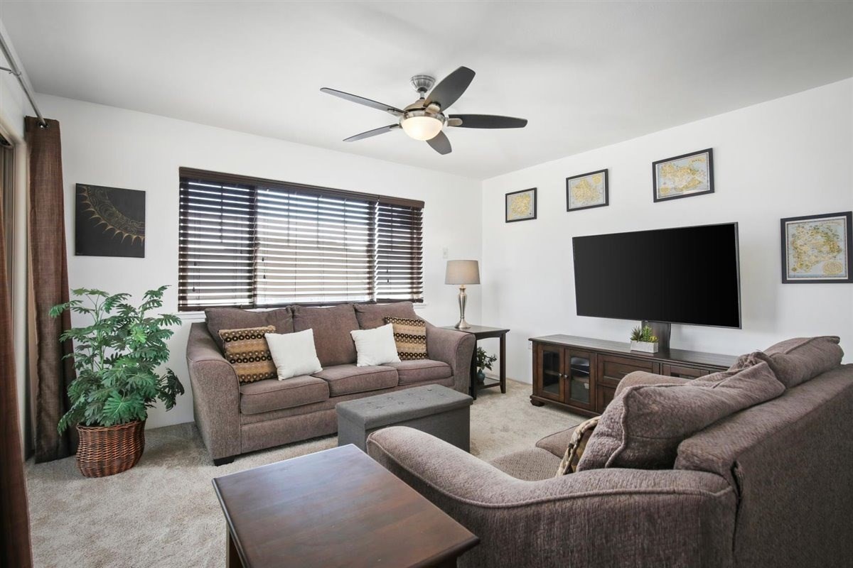 Big Island Listing Image