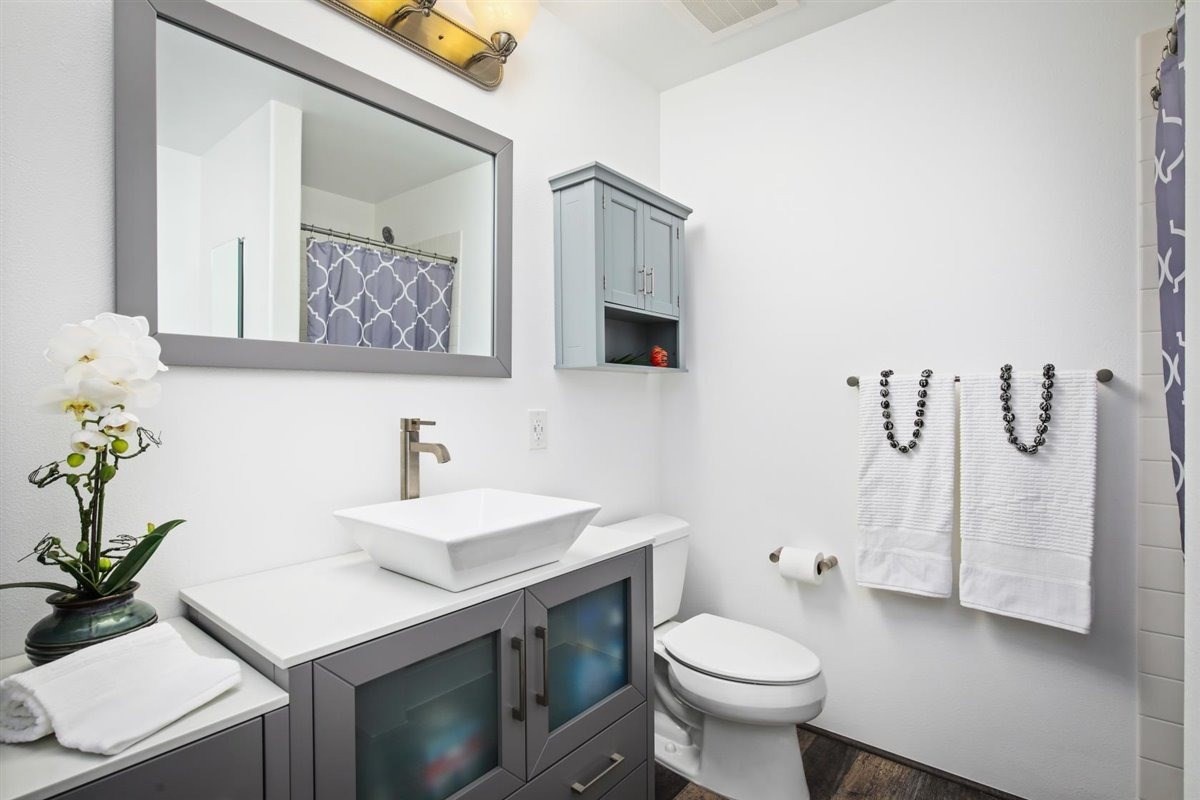 Big Island Listing Image