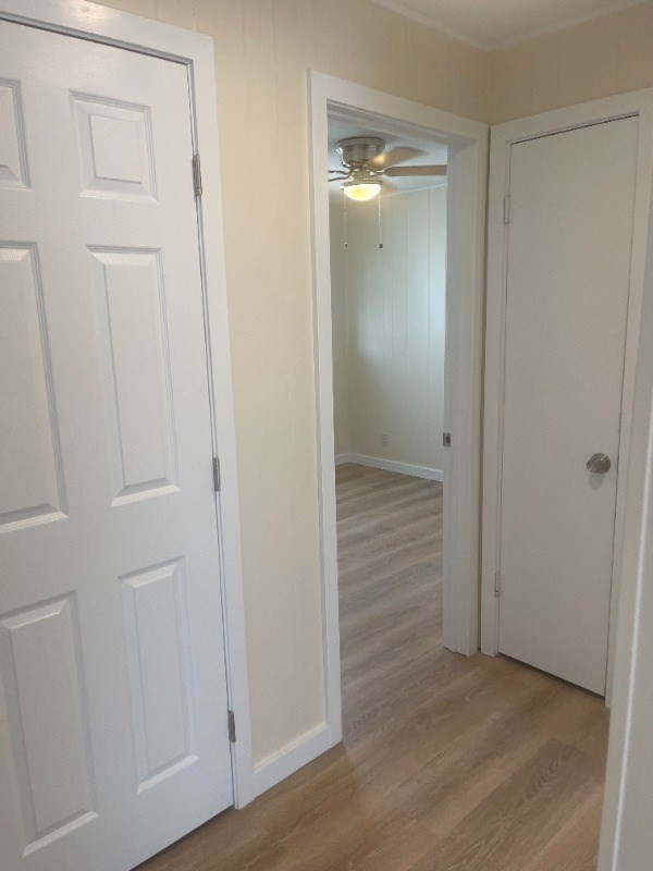 Big Island Listing Image