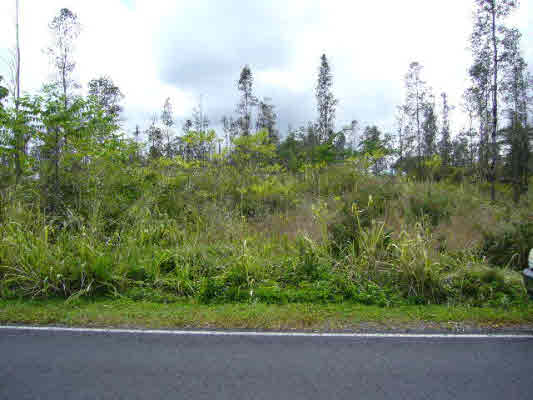 Vacant Land in Ainaloa Subdivision, Puna, Island of Hawaii