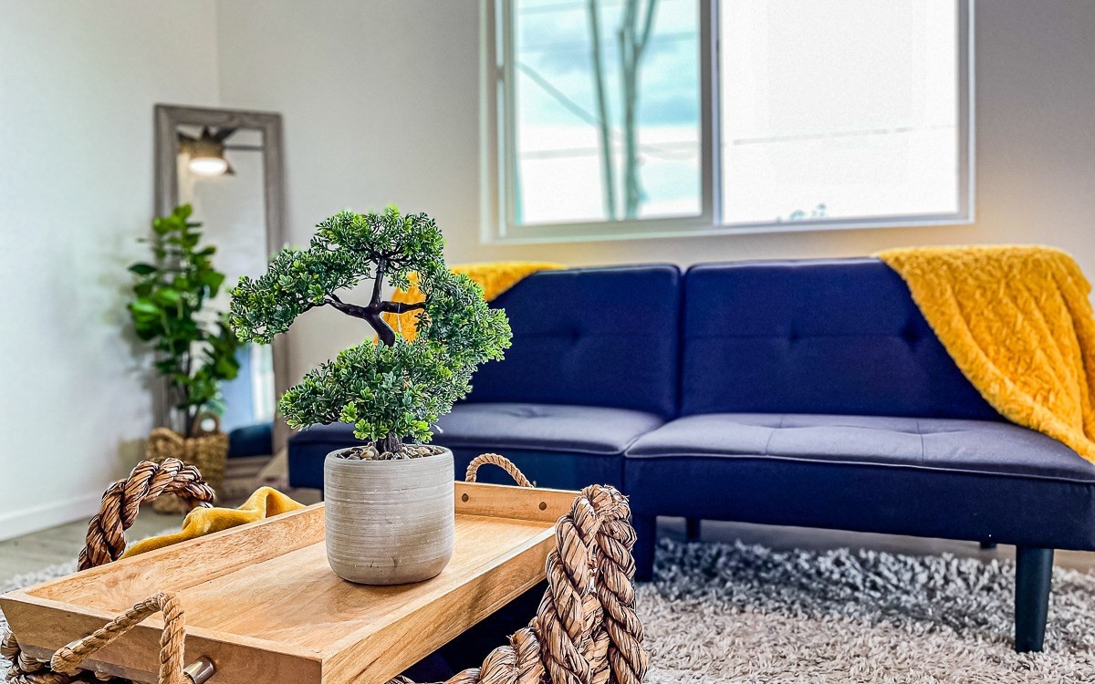 Big Island Listing Image