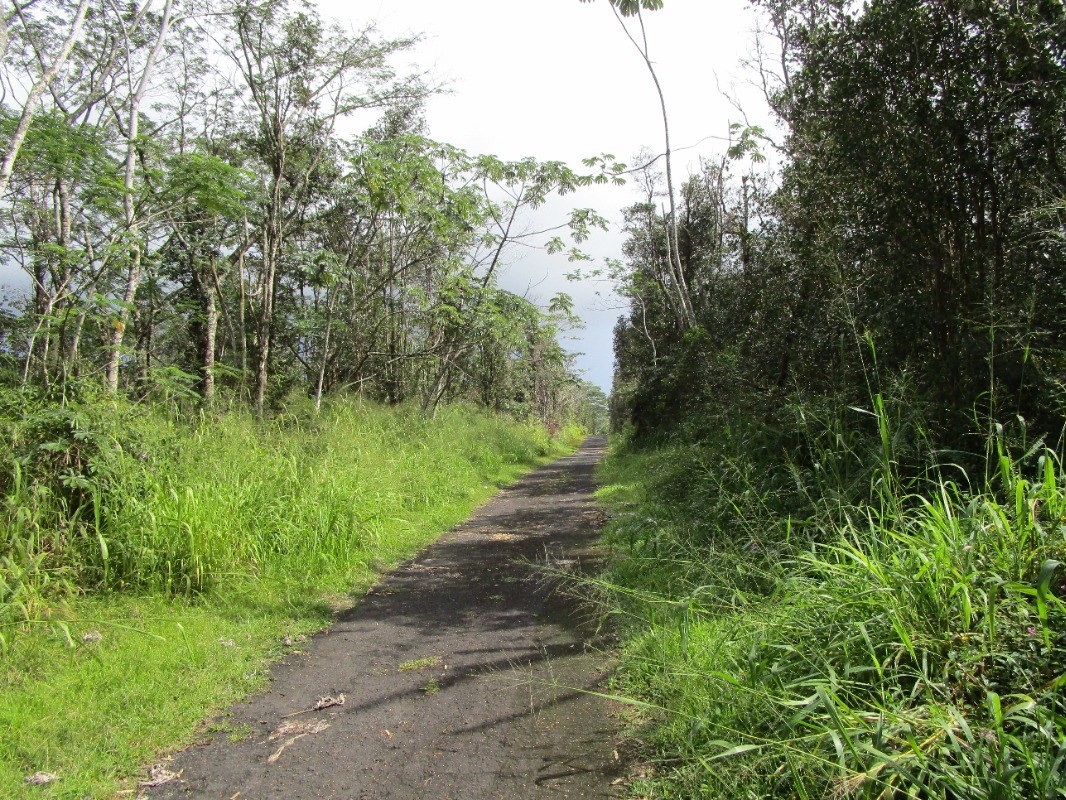 Big Island Listing Image