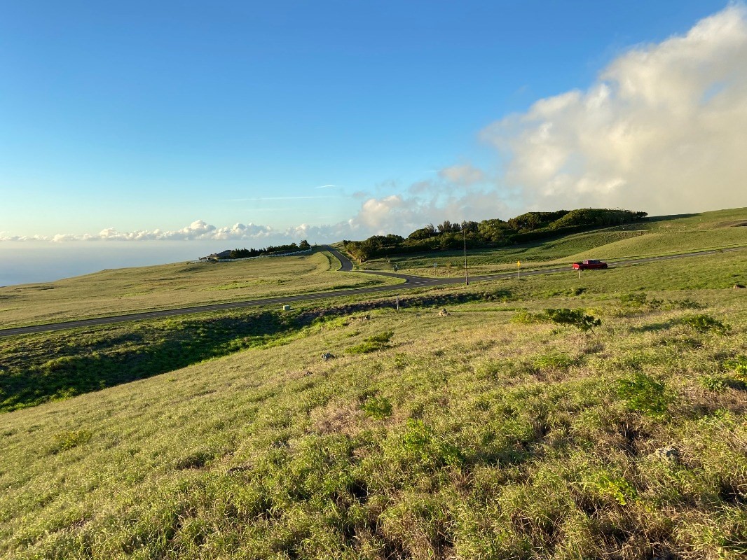 Big Island Listing Image