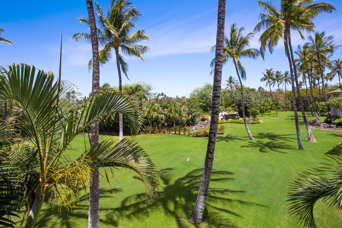 Big Island Listing Image