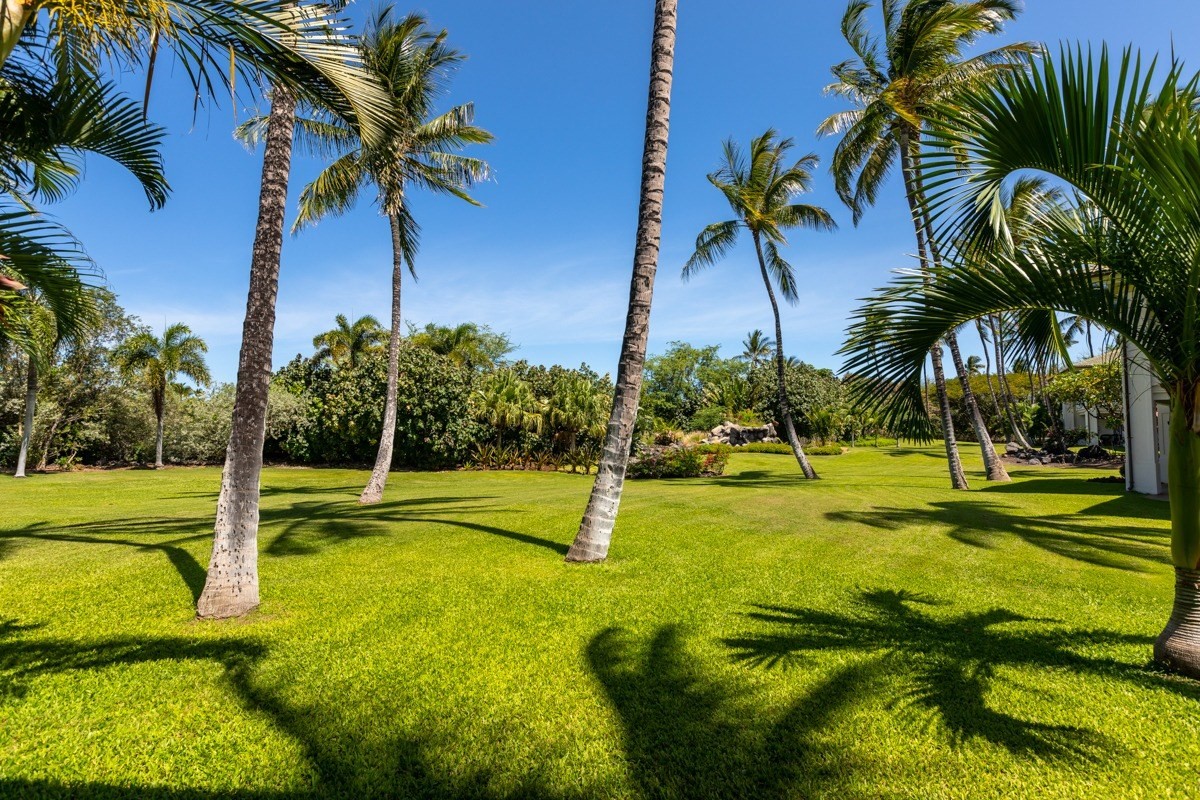 Big Island Listing Image