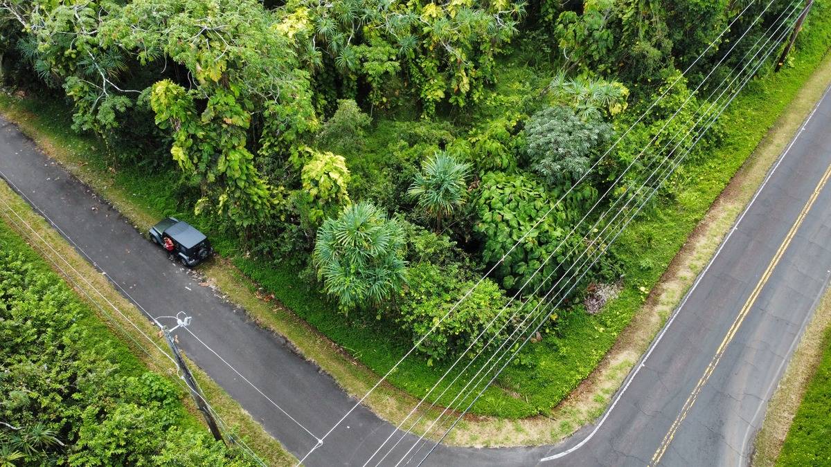 OPELU ST PAHOA HI 96778