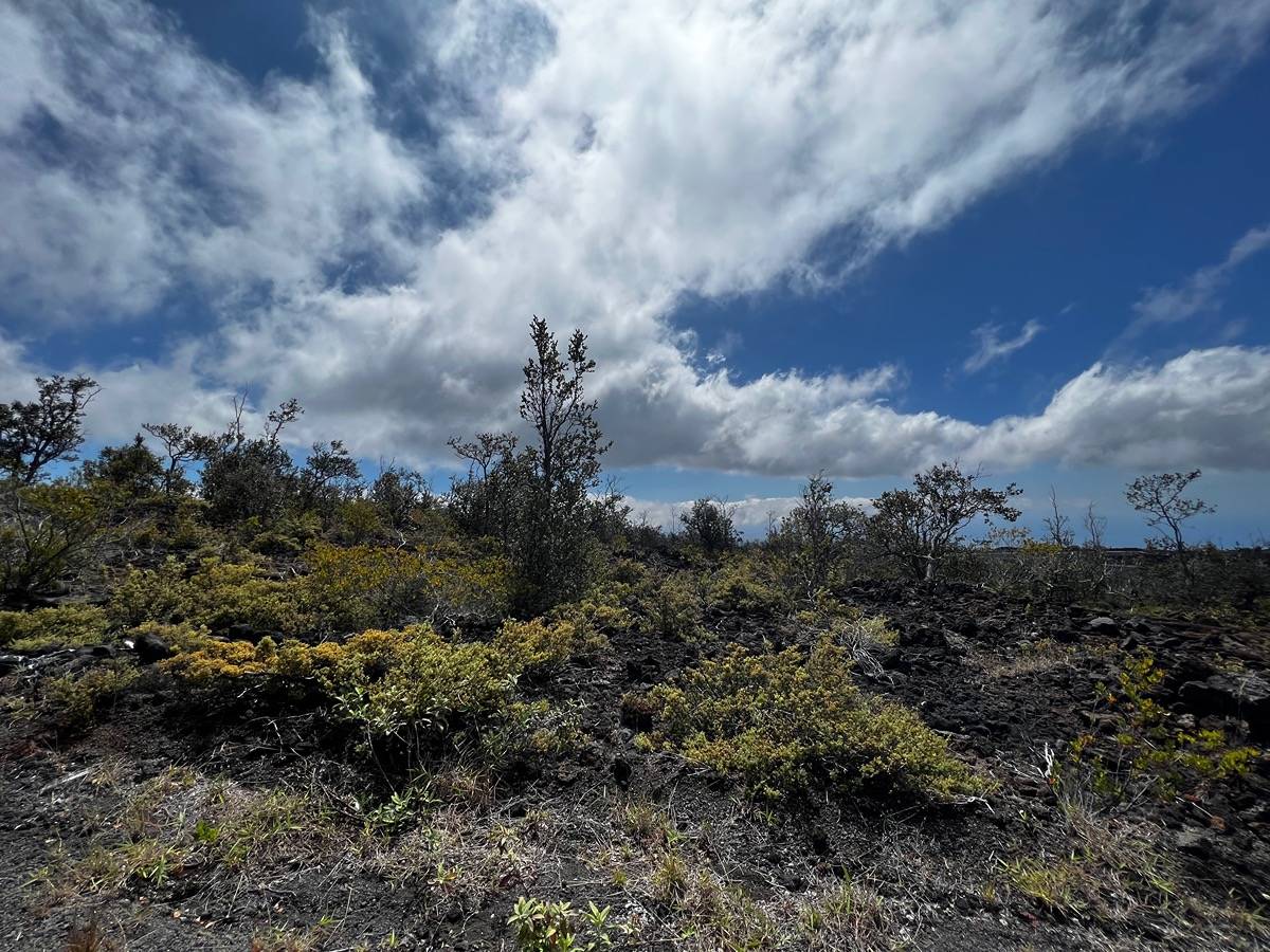 COCOANUT DR OCEAN VIEW HI 96737