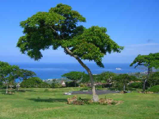 MLS No. 194123 - North Kona