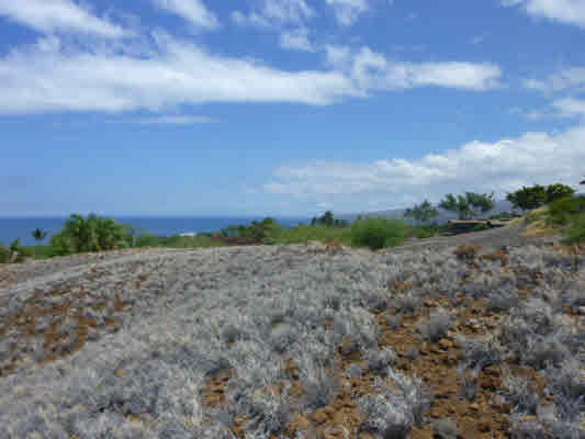 MLS 225923 | 000000, High Bluffs - South Kohala, Hawaii