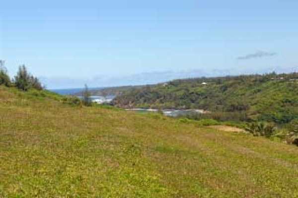 000000, Kilauea, HI 96754
