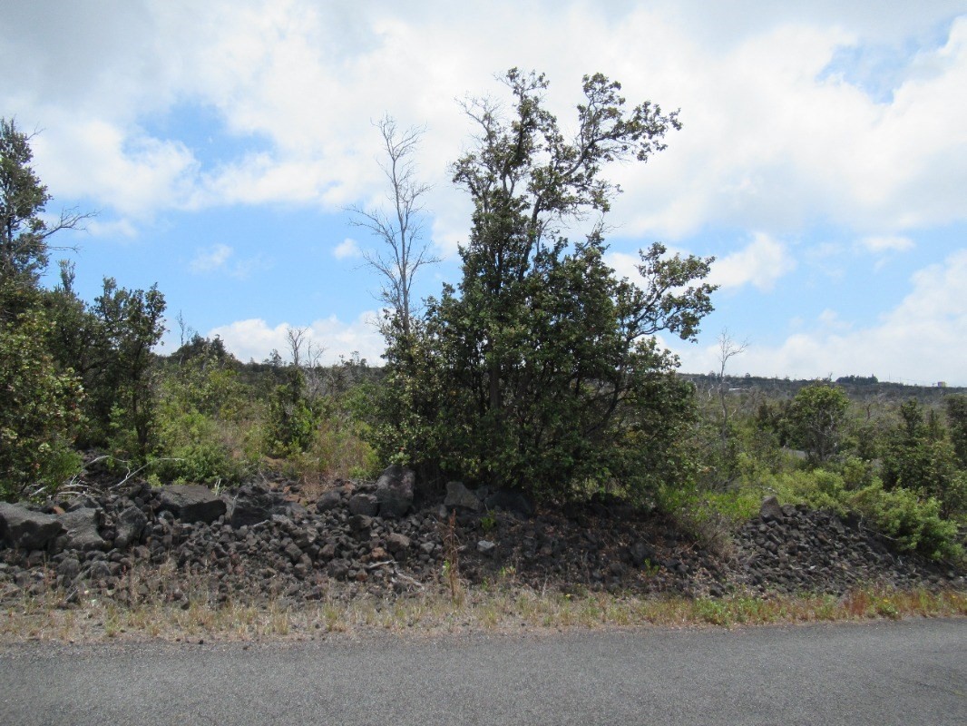 Big Island Listing Image