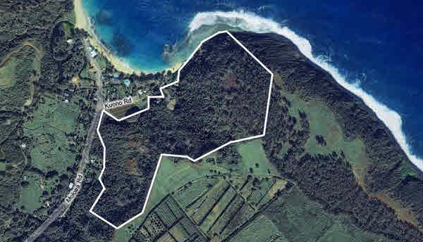 MOLOAA, KO'OLAU, KU'ONO, ANAHOLA, HI, 96703, USA