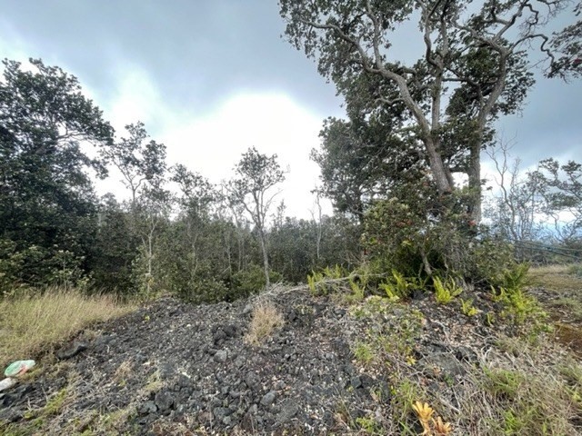 Big Island Listing Image