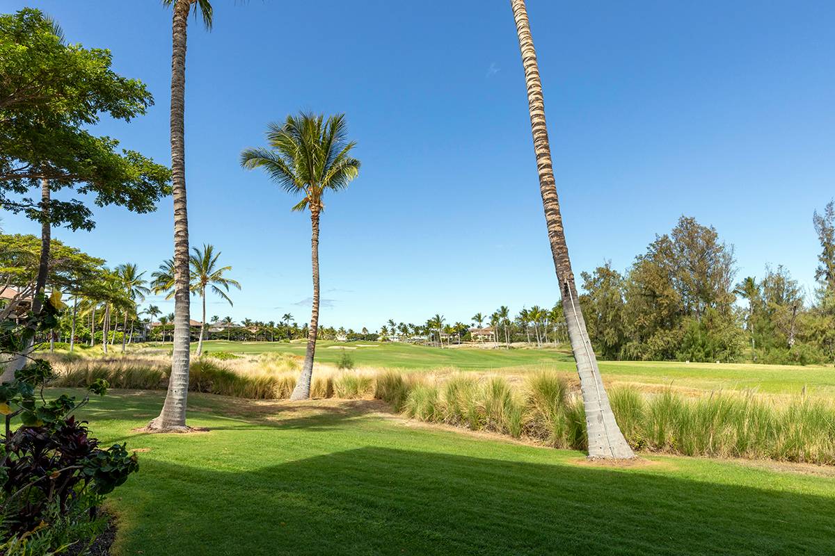 Big Island Listing Image