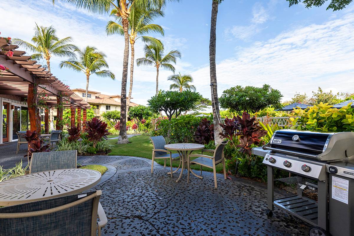 Big Island Listing Image