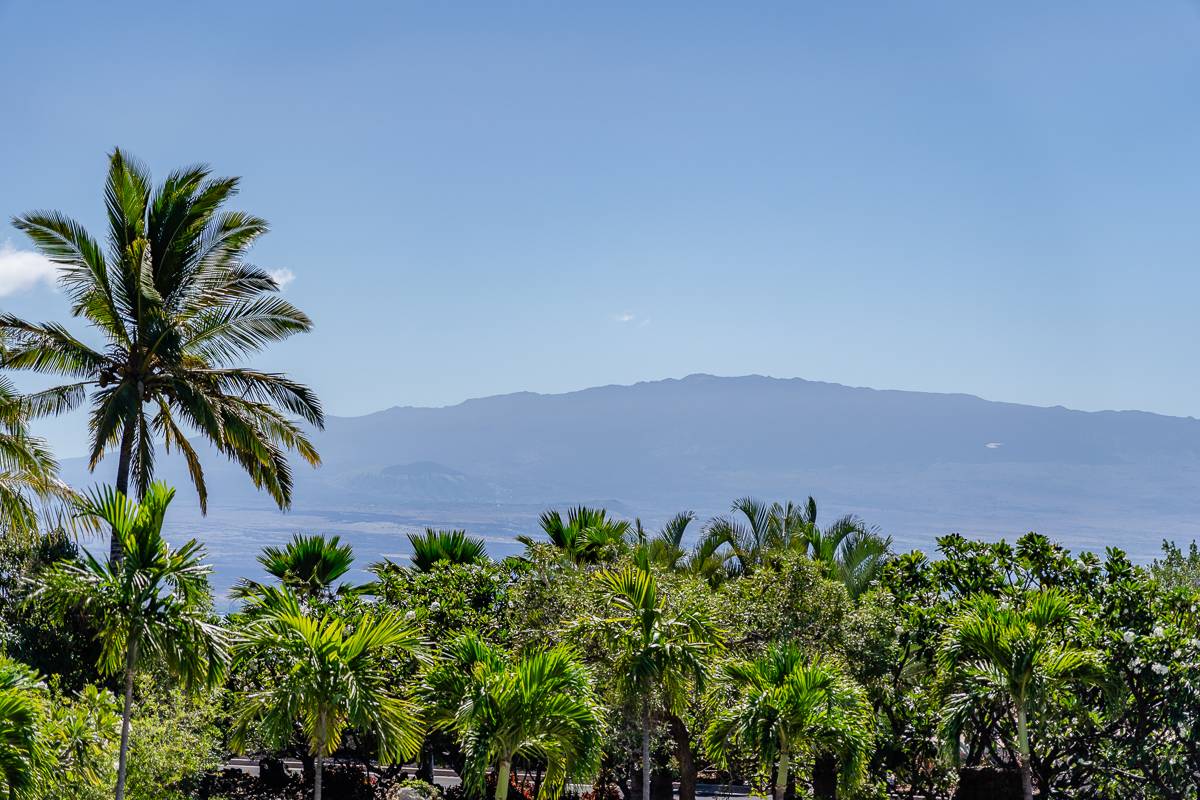 Big Island Listing Image