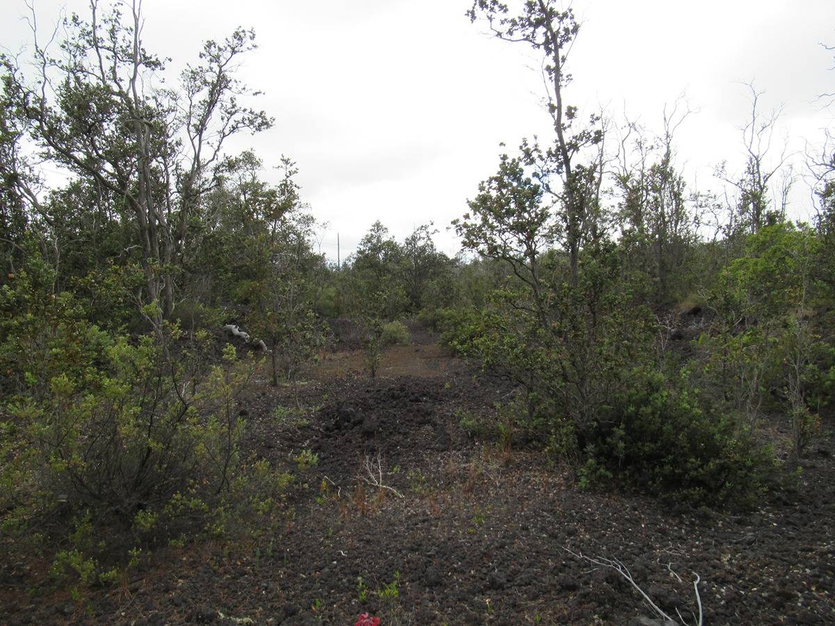 BAMBOO LN OCEAN VIEW HI 96737