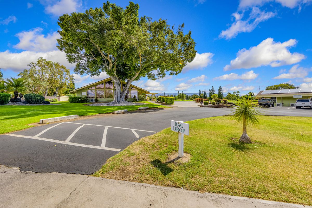 Big Island Listing Image