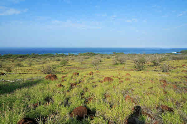 Hawi real estate - Akoni Pule Hwy. - Hawi HA homes for sale