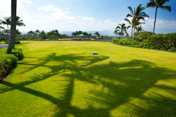 You will watch the sunrise and moonrise looking towards Mauna Kea