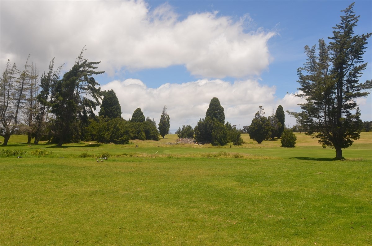 Big Island Listing Image