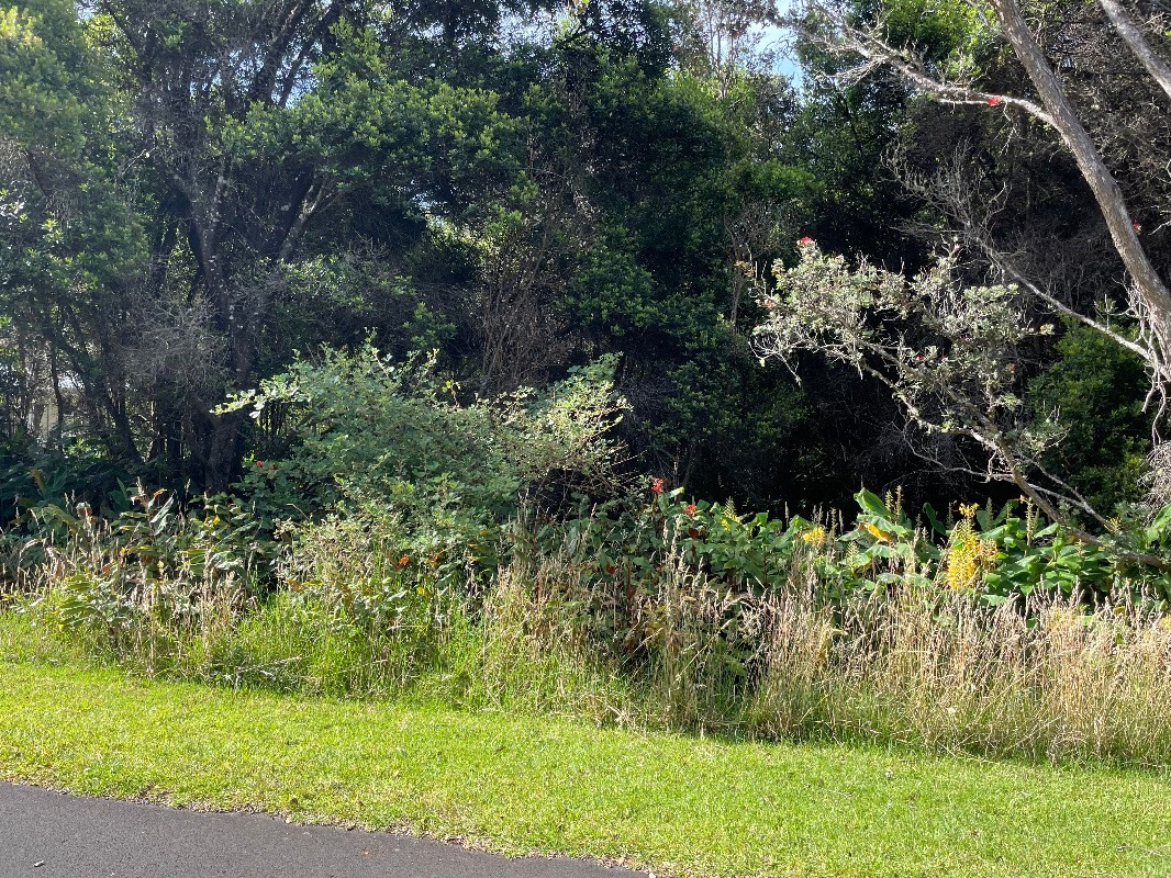 Big Island Listing Image