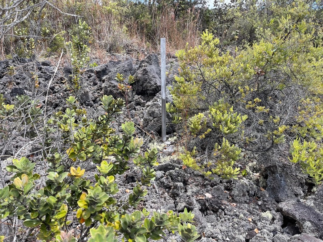 Big Island Listing Image