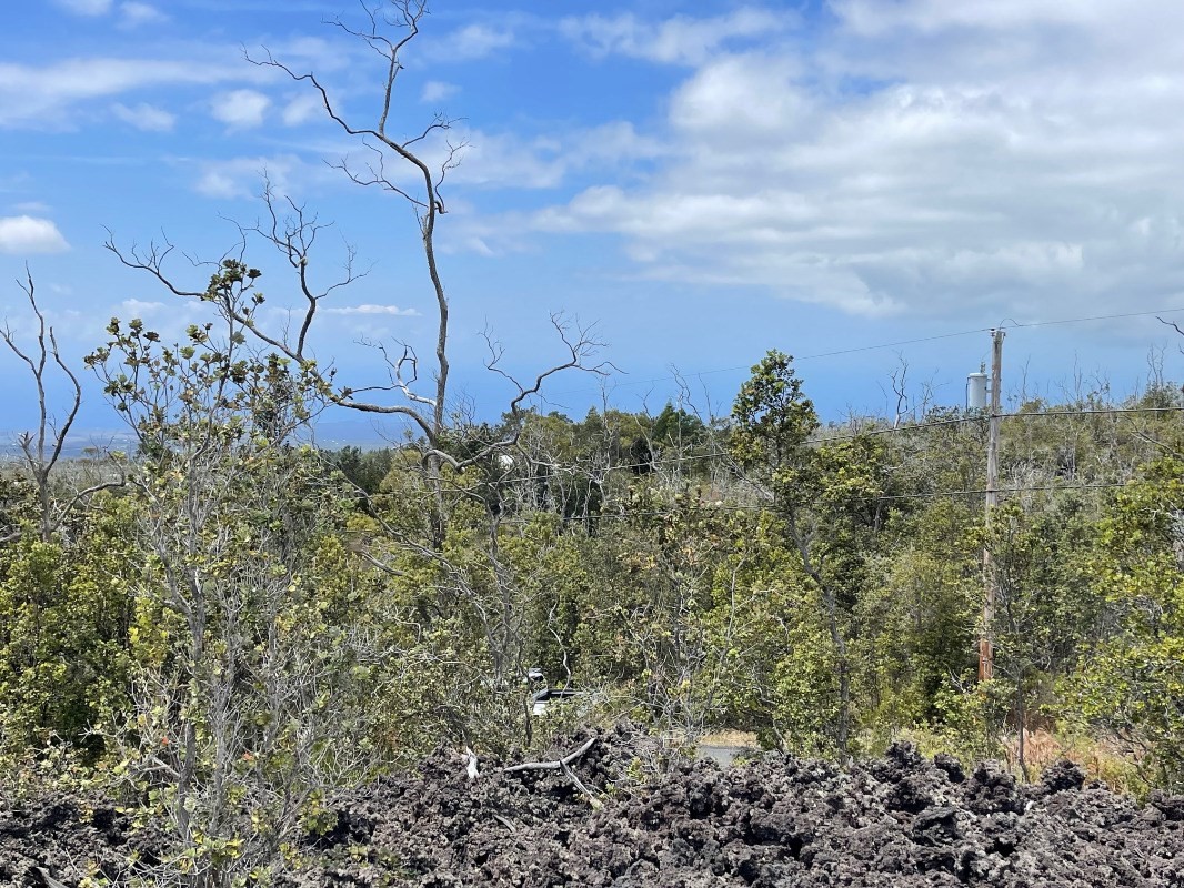 Big Island Listing Image