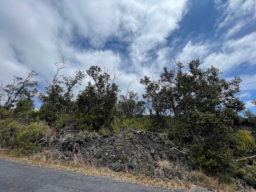 Big Island Listing Image