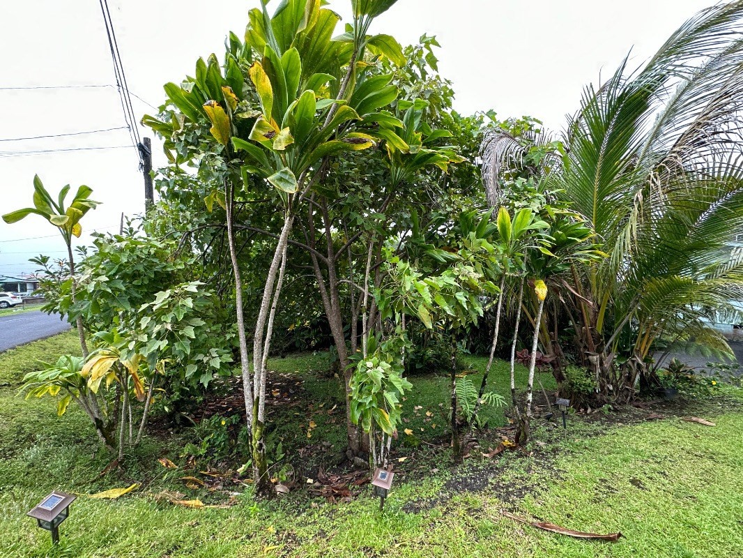 Big Island Listing Image