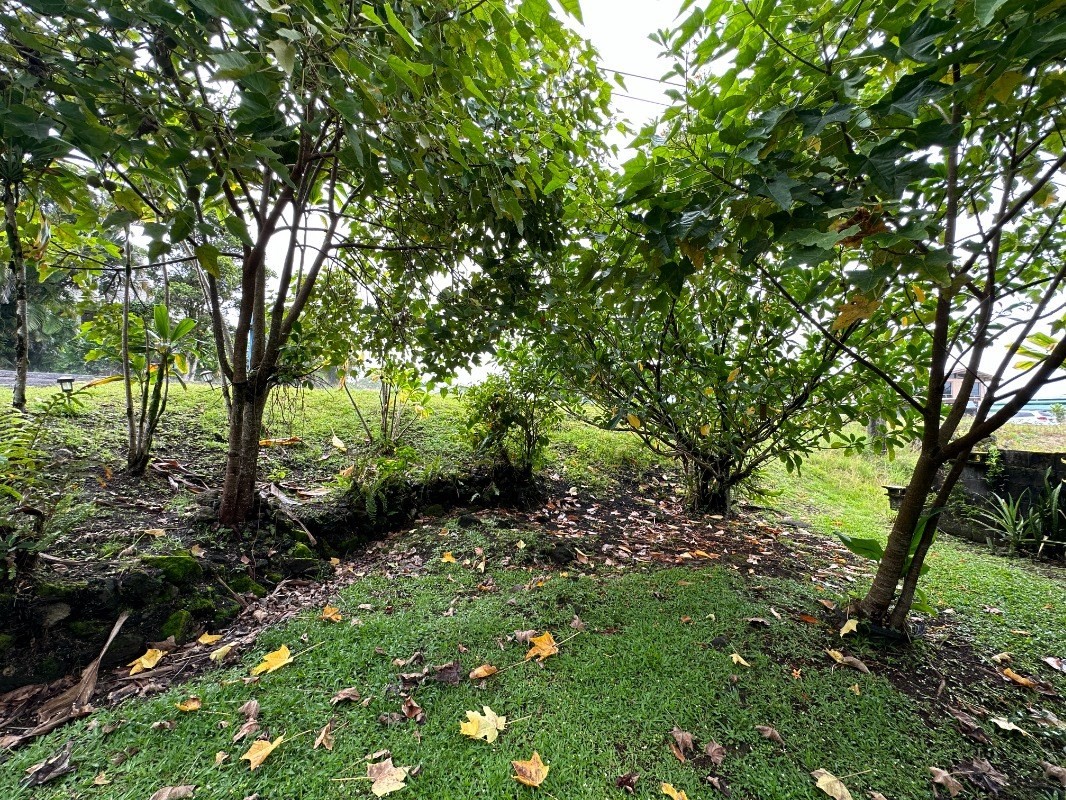 Big Island Listing Image