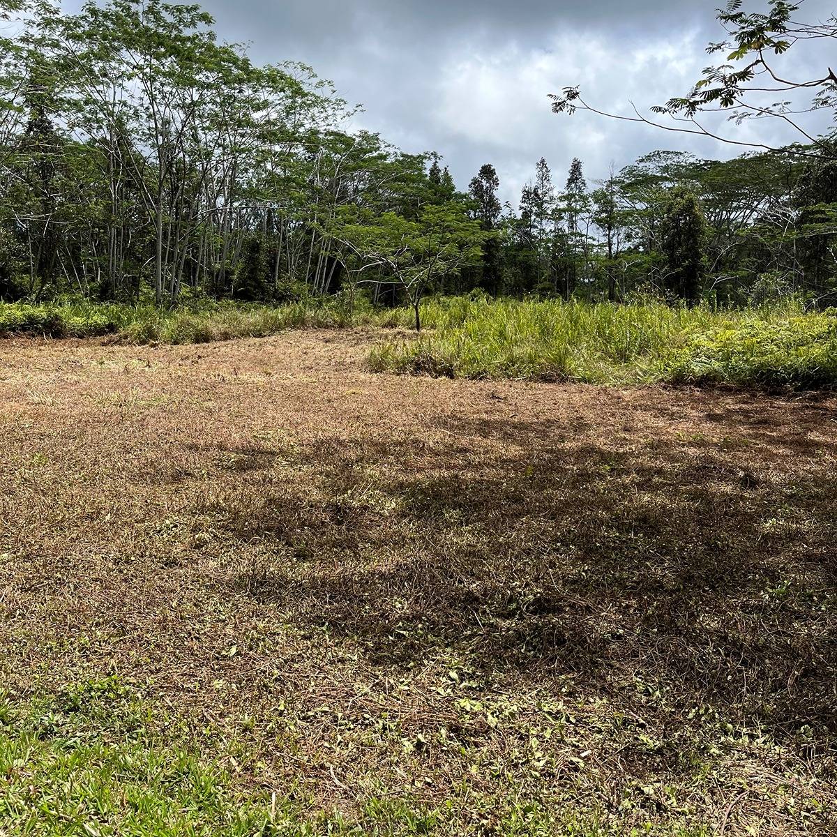 14-3501 KONA RD PAHOA HI 96778