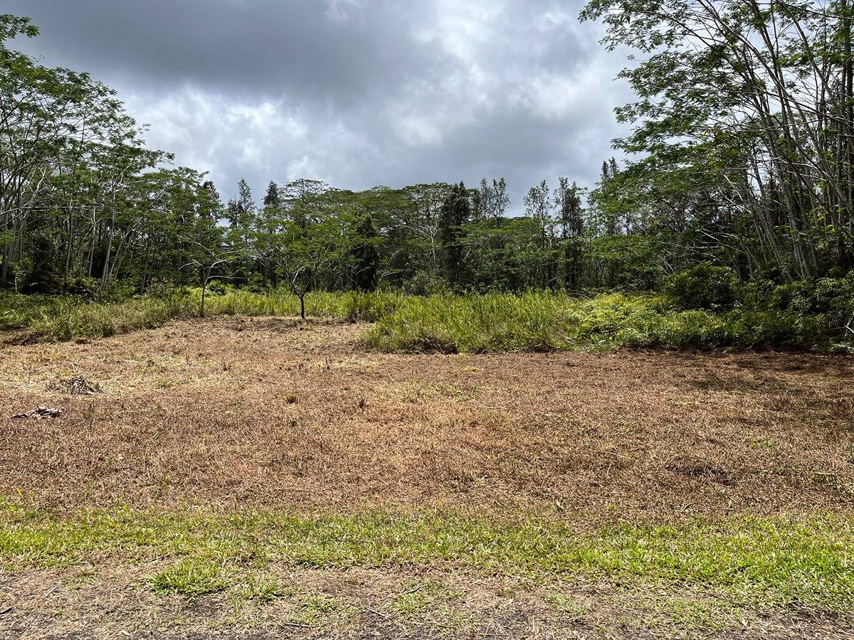 14-3501 KONA RD PAHOA HI 96778