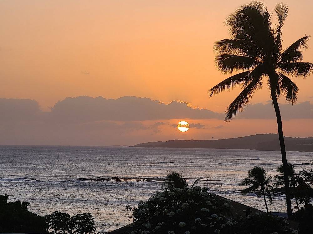 1763 PEE RD #204 KOLOA HI 96756