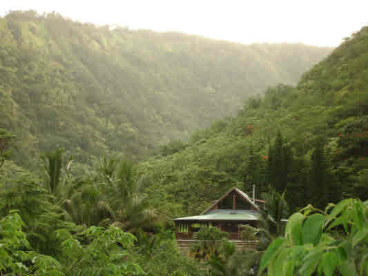 MLS# 238427 34-1471 HAWAII BELT RD Waikaumalo-maulua Homesteads 