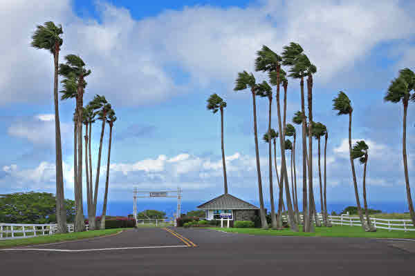 MLS 250727 | PUAKEA DRIVE, Puakea Bay Ranch Subdivision - North Kohala, Hawaii MLS 250727 | PUAKEA DRIVE, Puakea Bay Ranch Subdivision - North Kohala, Hawaii