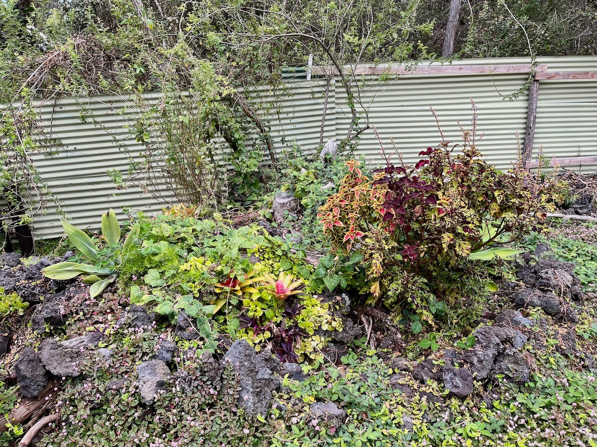 Big Island Listing Image