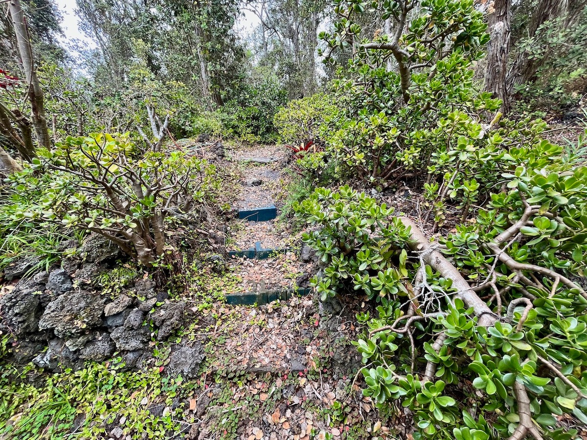 Big Island Listing Image