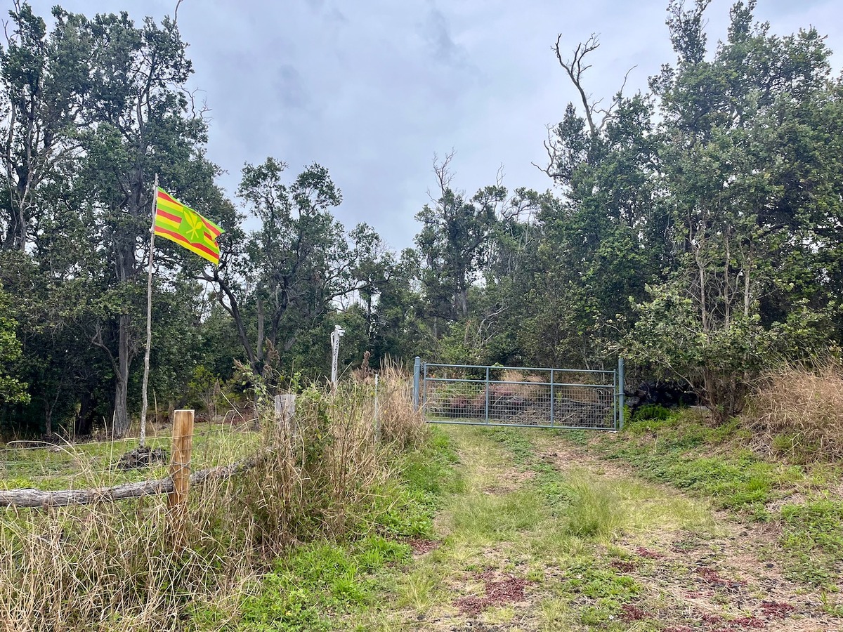 Big Island Listing Image