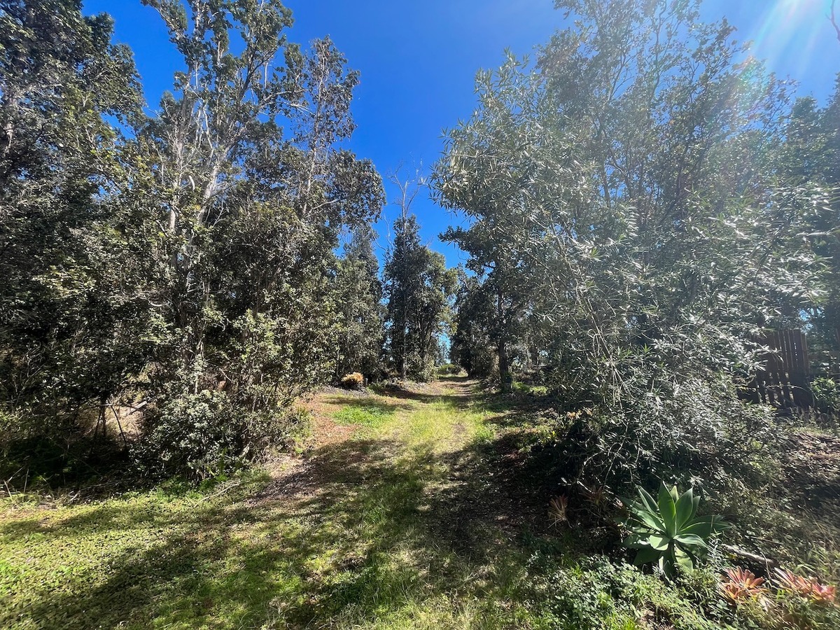 Big Island Listing Image