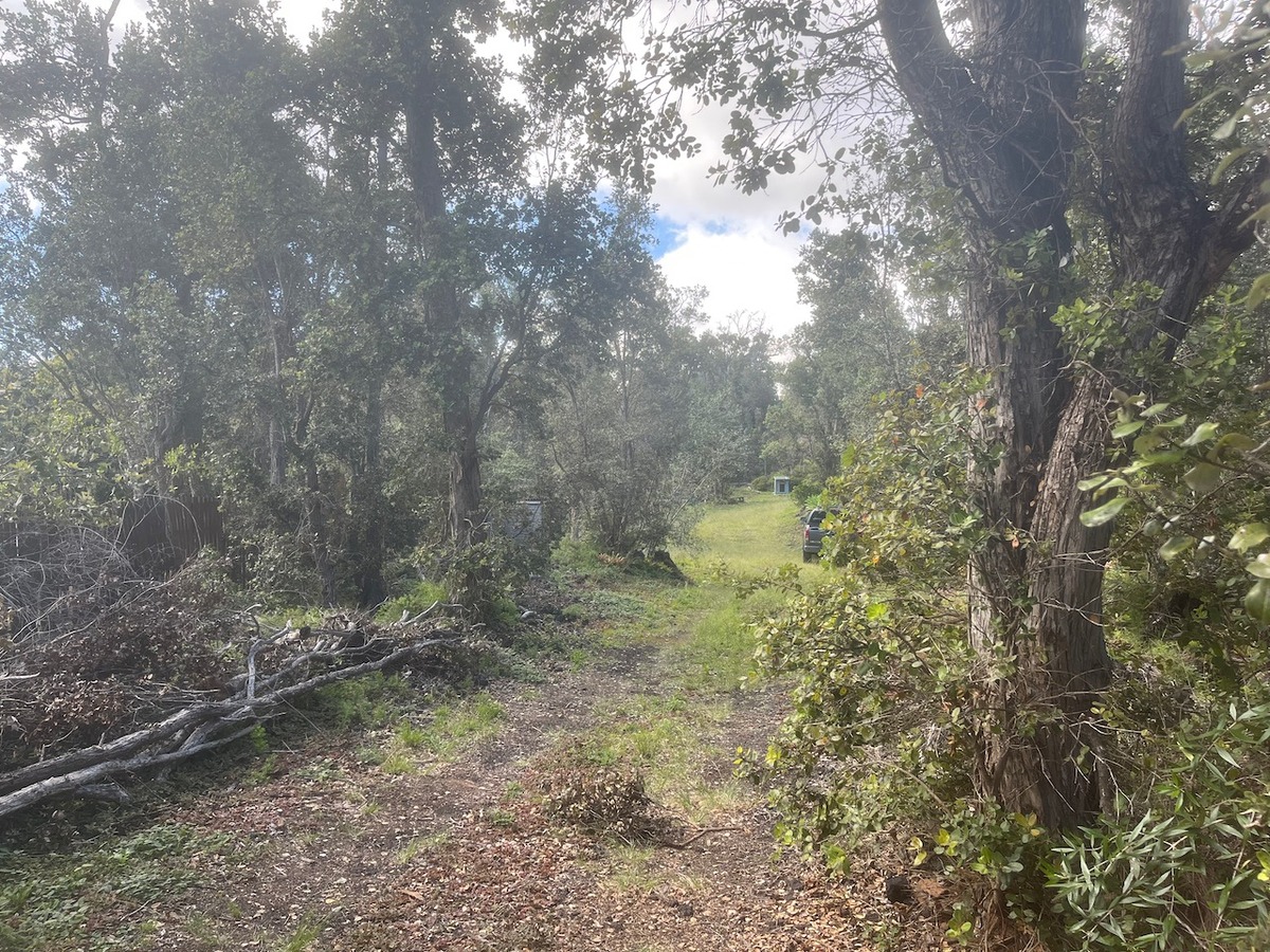 Big Island Listing Image