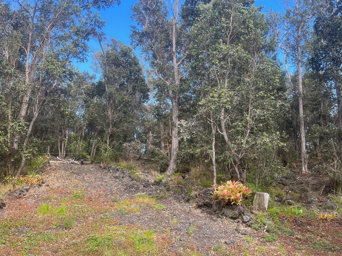 Big Island Listing Image