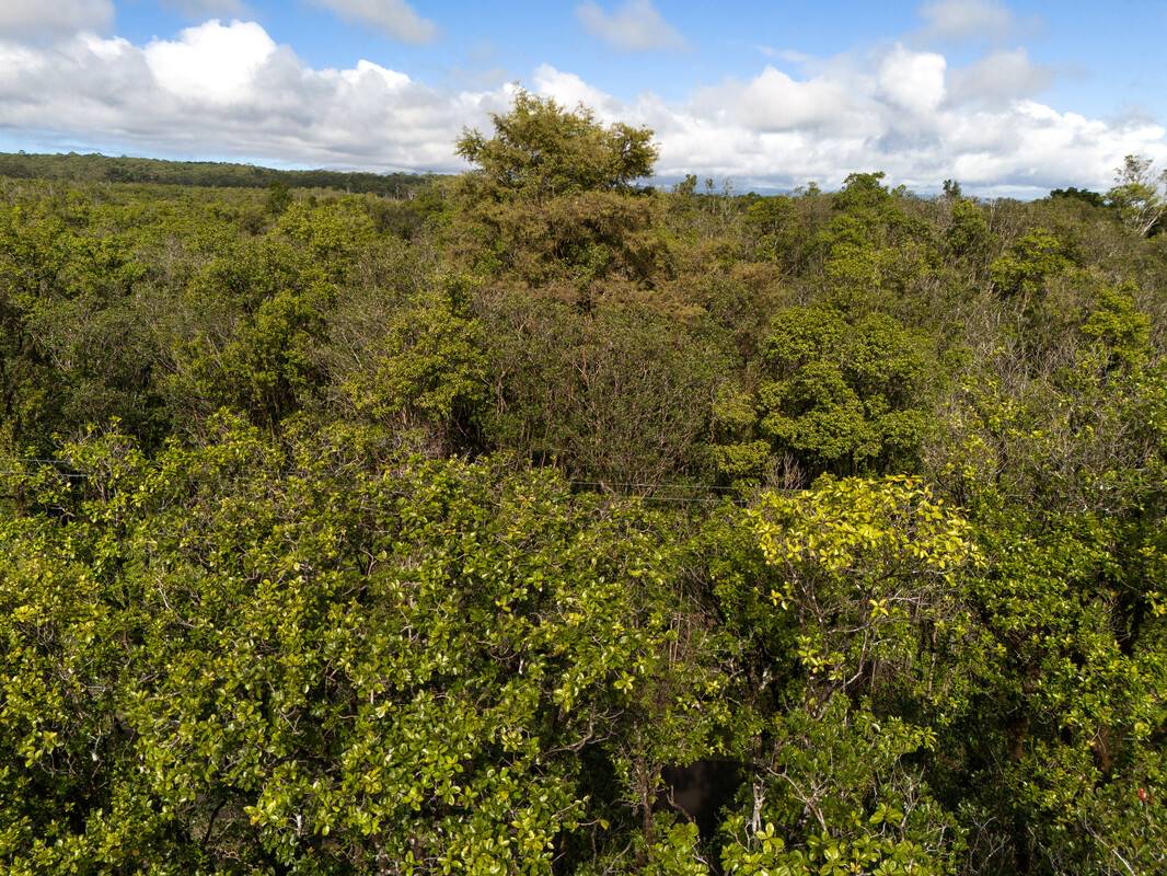 IHOPE RD MOUNTAIN VIEW HI 96771