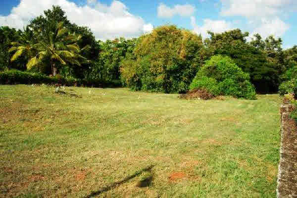 3032 LAUAE PL, KOLOA, HI, 96756, USA