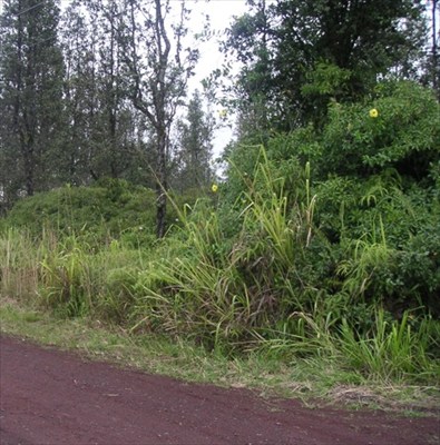 Ainaloa