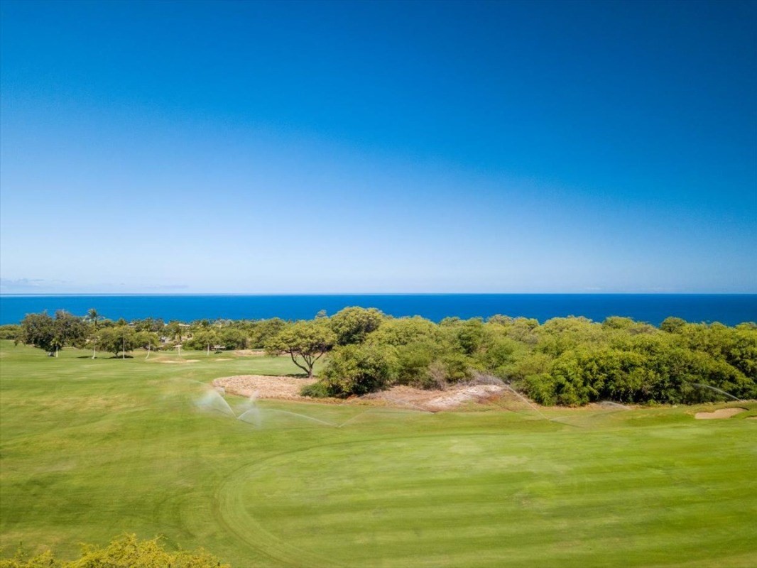 Big Island Listing Image