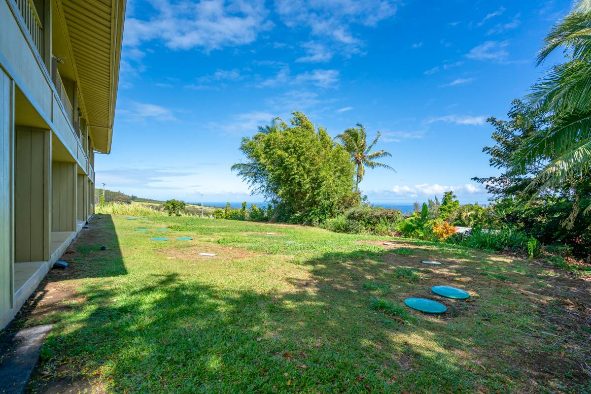 Big Island Listing Image